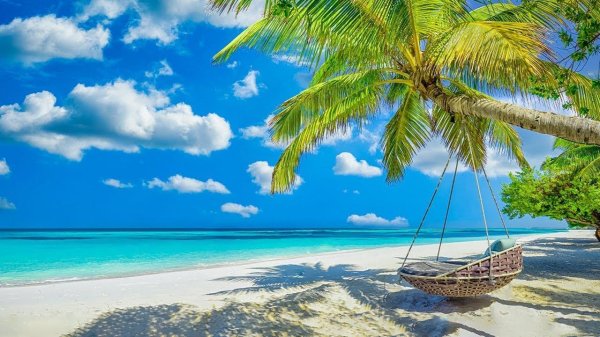 тропические пляжи