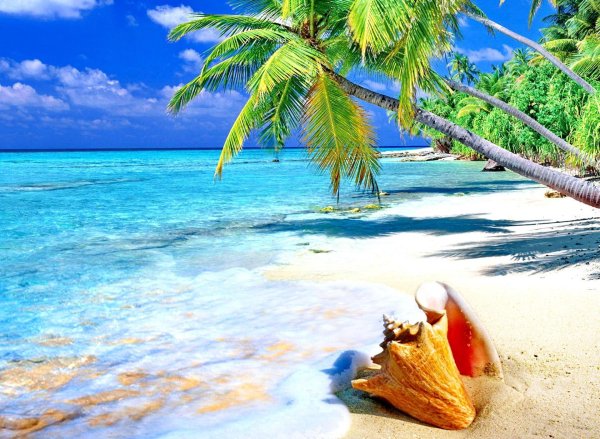 парадиз остров карибского моря