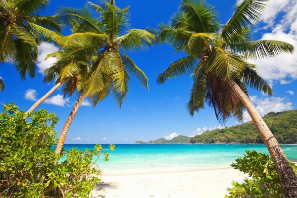тропические пляжи