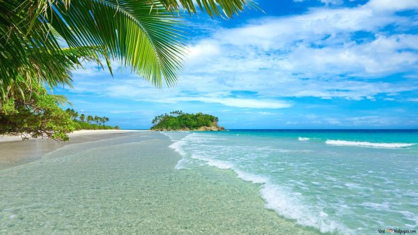 парадиз остров карибского моря