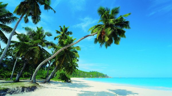 парадиз остров карибского моря