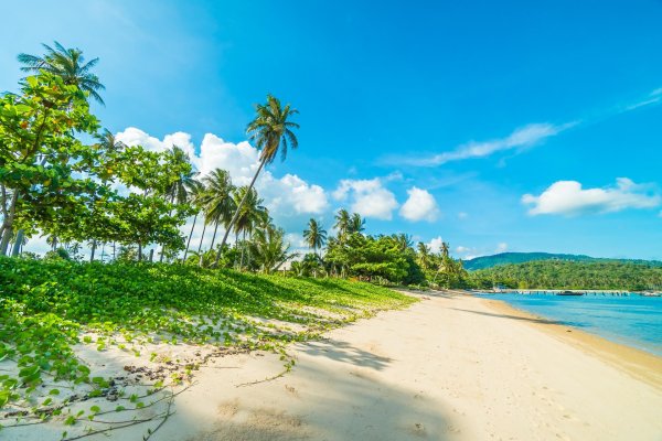 тропические пляжи