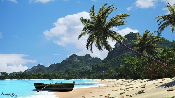 пальма мориче