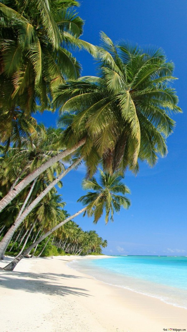 красивые пляжи