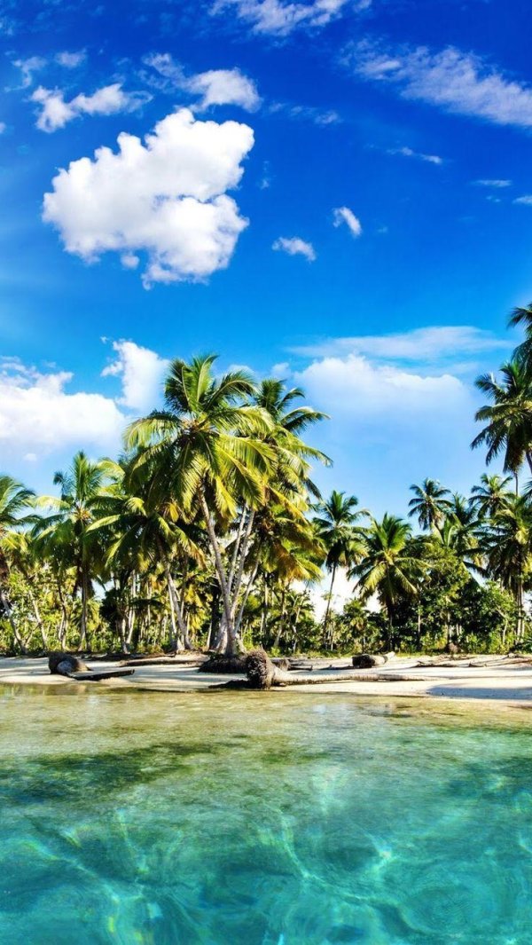 остров тропический