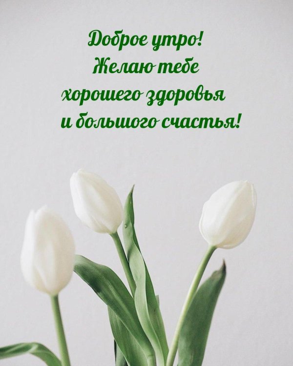 с добрым утром здоровья счастья