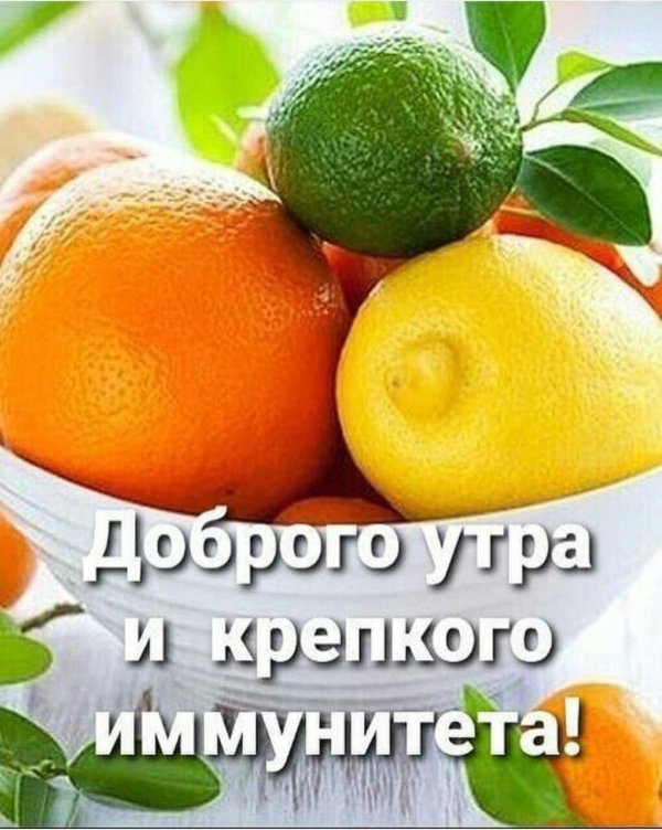 цитрус мевалар