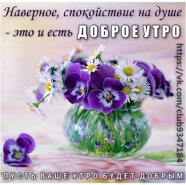 анютины глазки