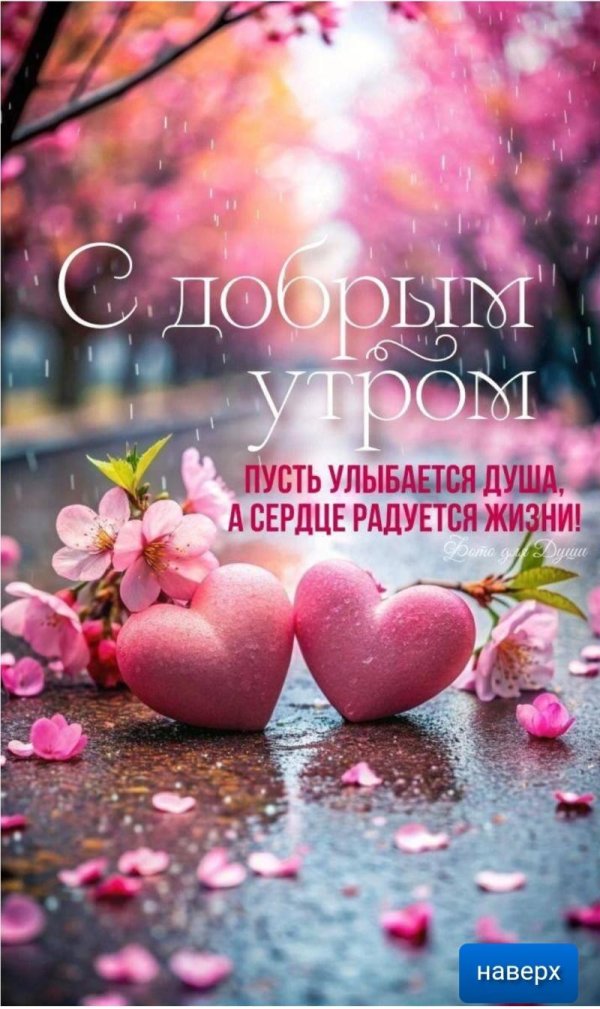 добра утра