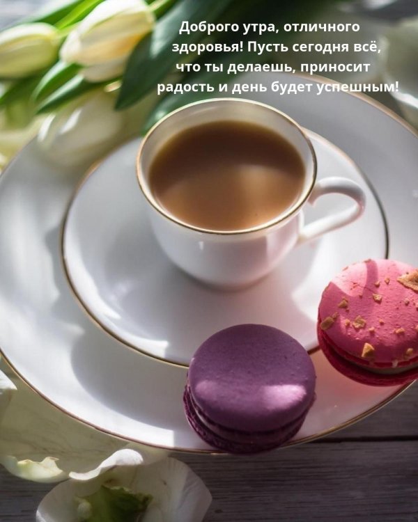 нежное утро