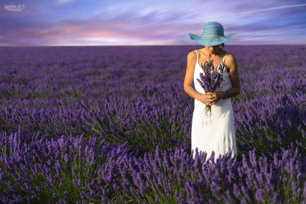 девушка с лавандой