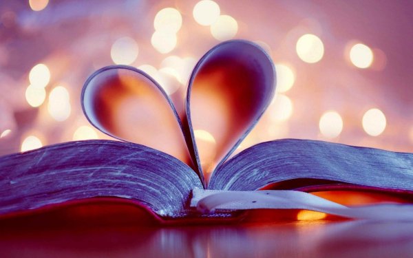 книга красивая