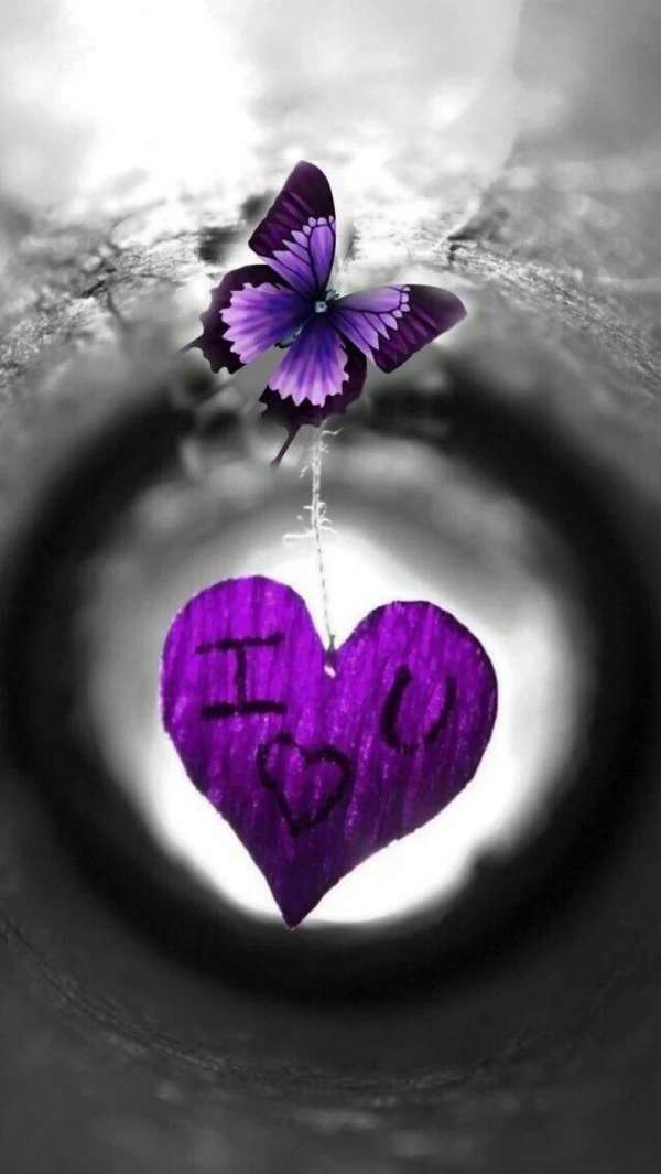 фиолетовая бабочка