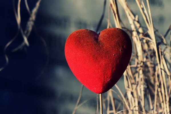 сердца любимых