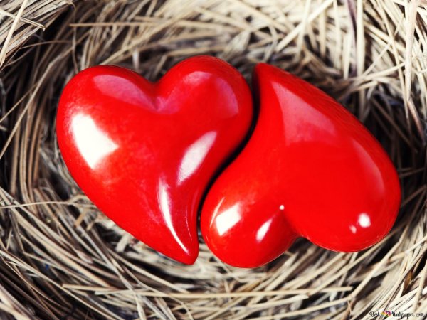 сердца красные