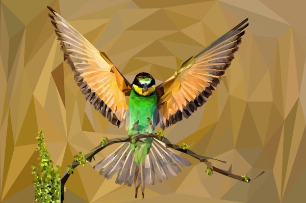 птица крылья