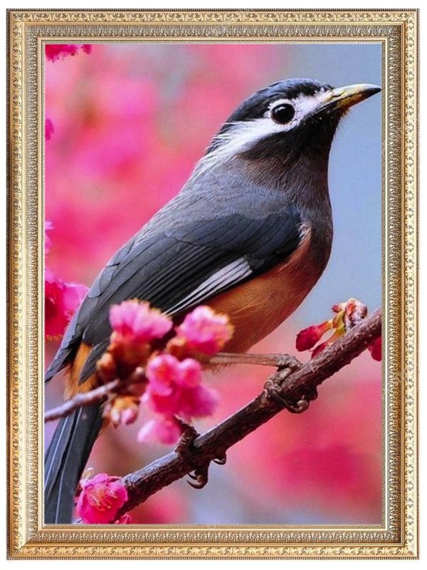 весенние птички