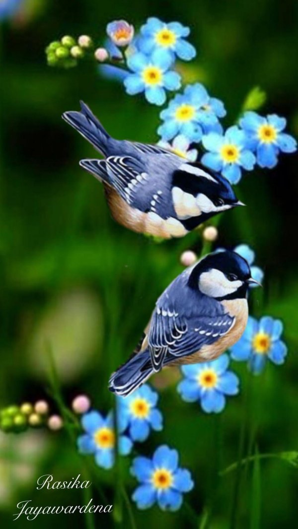 картина синички