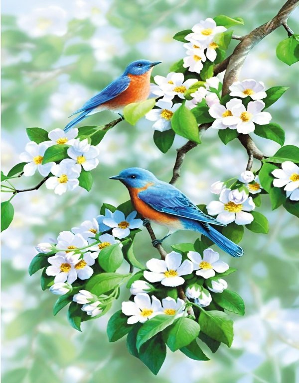 весенние птички