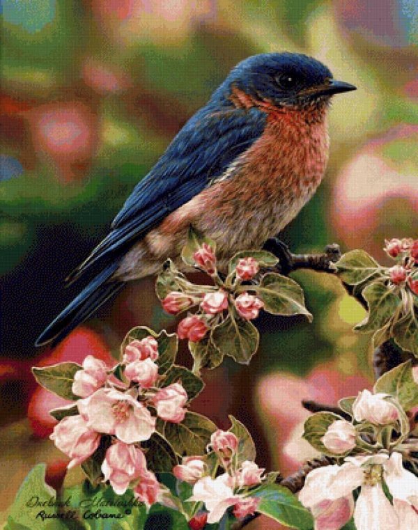 картины птиц