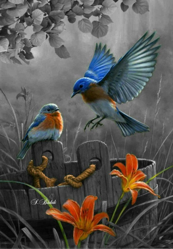 картины птиц