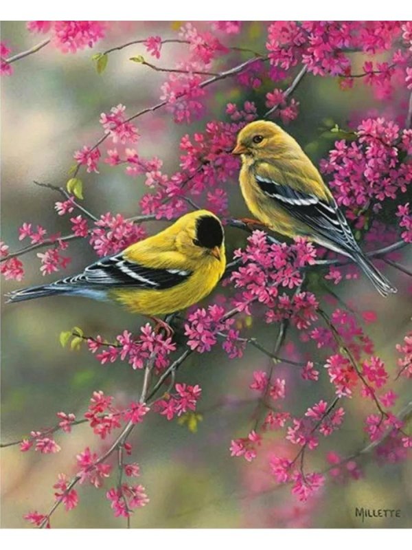 розмари миллетт rosemary millette