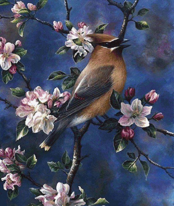 художник jeff tift