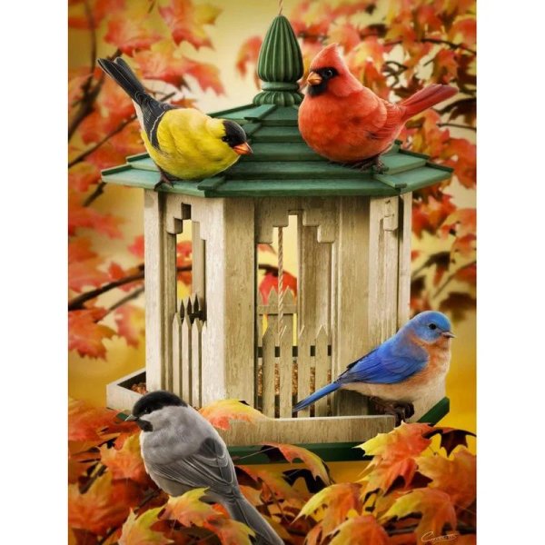 кормушка с птичками