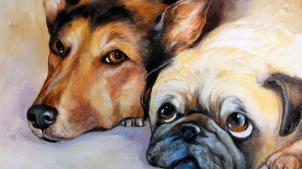 мопс акварелью