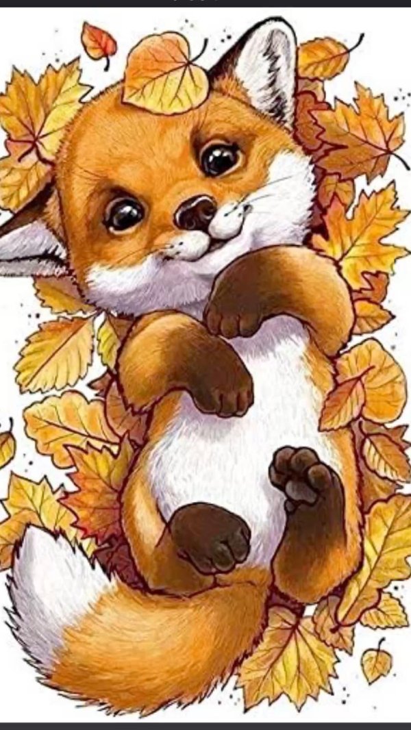 лисенок животные