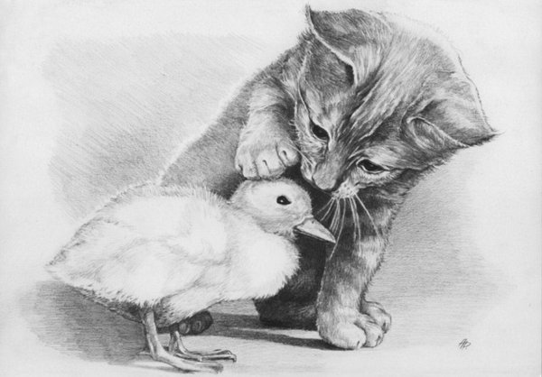 животные карандашом