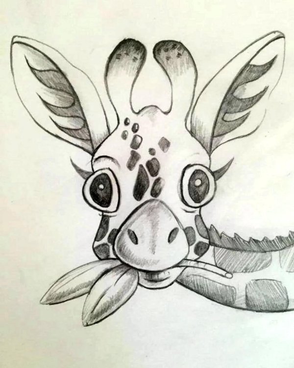 красивые рисунки животных для срисовки