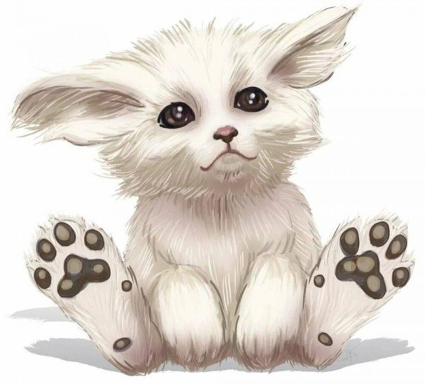 милые зверушки