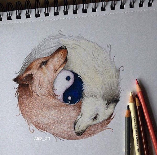 инь янь волки