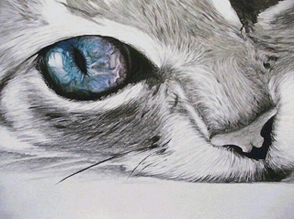 кошачий глаз цветными карандашами