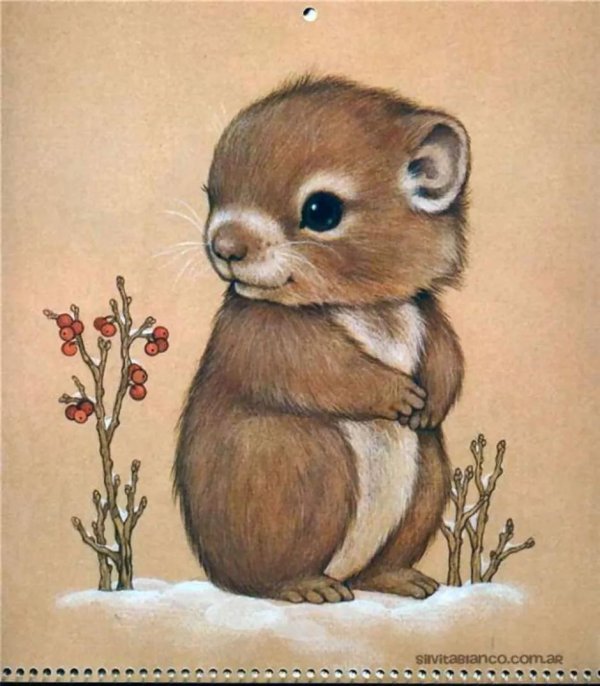 лесное милое животное милое животное рисуем