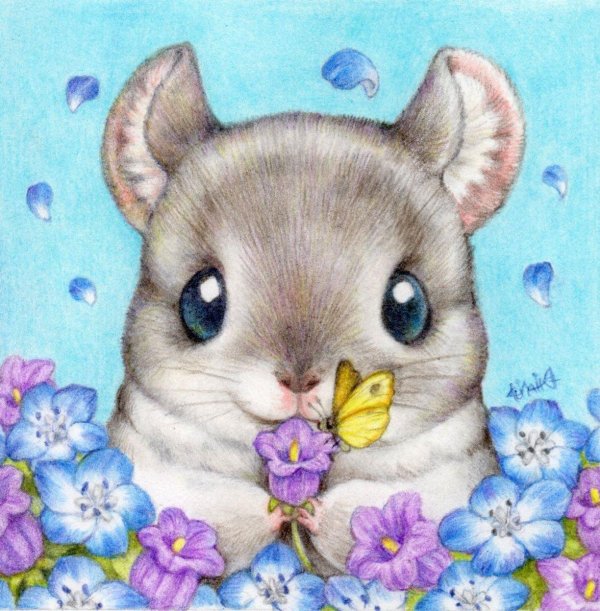рисунки милых зверюшек