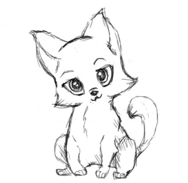 кошечка раскраска