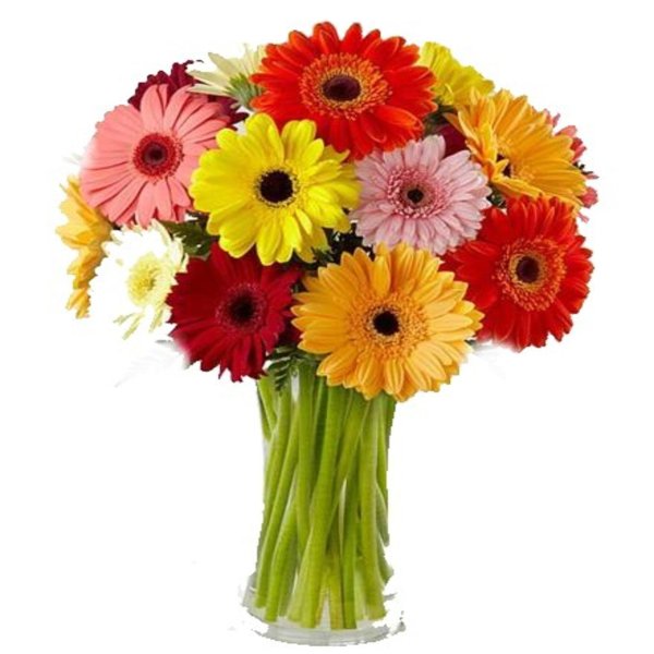 монобукет  герберы