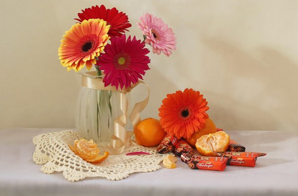 доброе утро с герберами