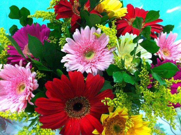 букет гербер