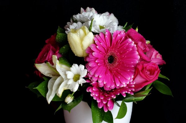 тюльпаны хризантемы розы