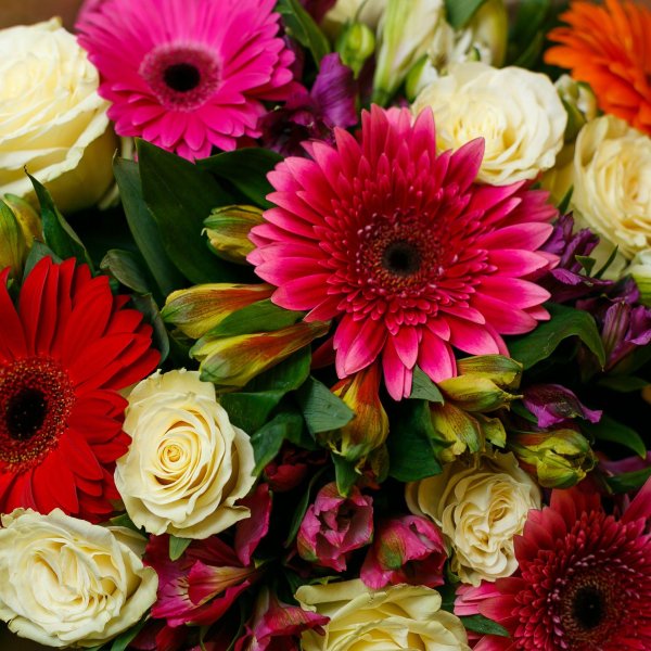 букет гербер