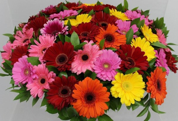 букет гербер