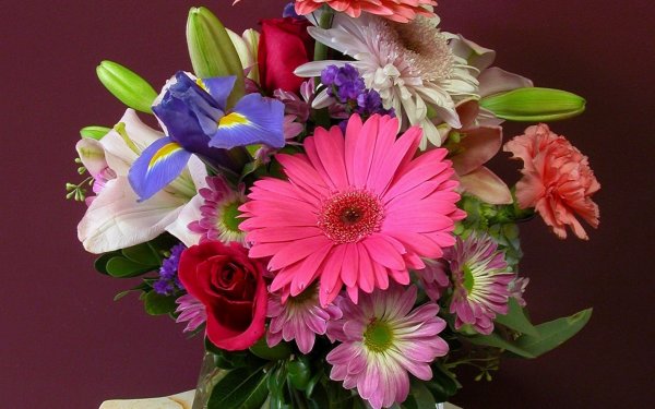 цветы букет красивые
