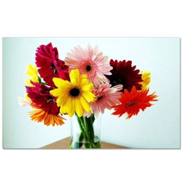 картины с герберами