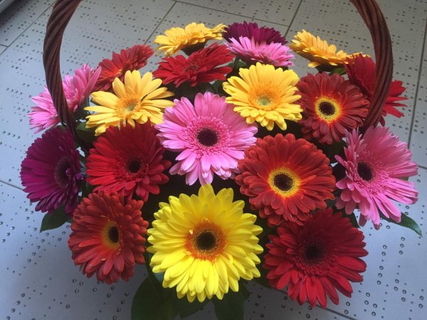 букет с герберами