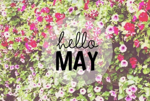 hello may
