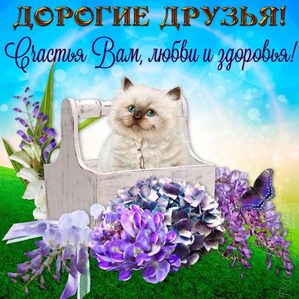 пожелание другу