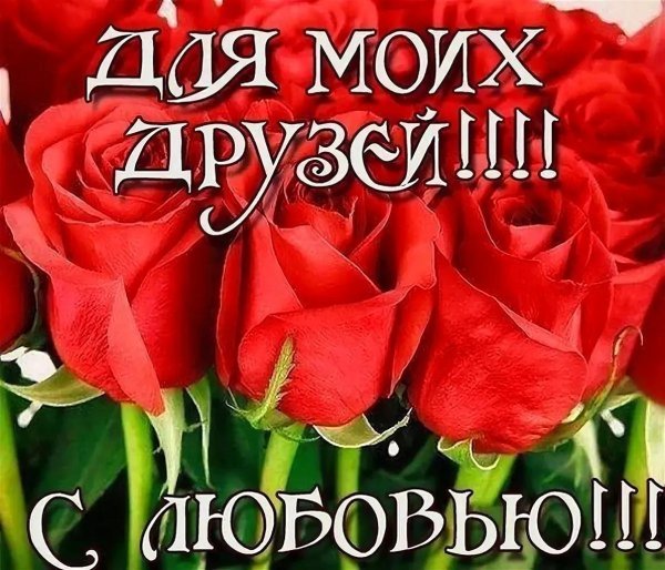 моему другу